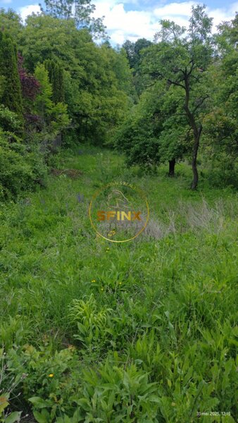 Teren intravilan de vanzare in Breaza – Strada Primaverii